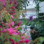 Bougainvill Sunset Villa *