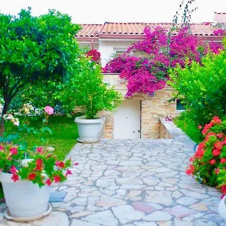 Bougainvill Sunset Saranda