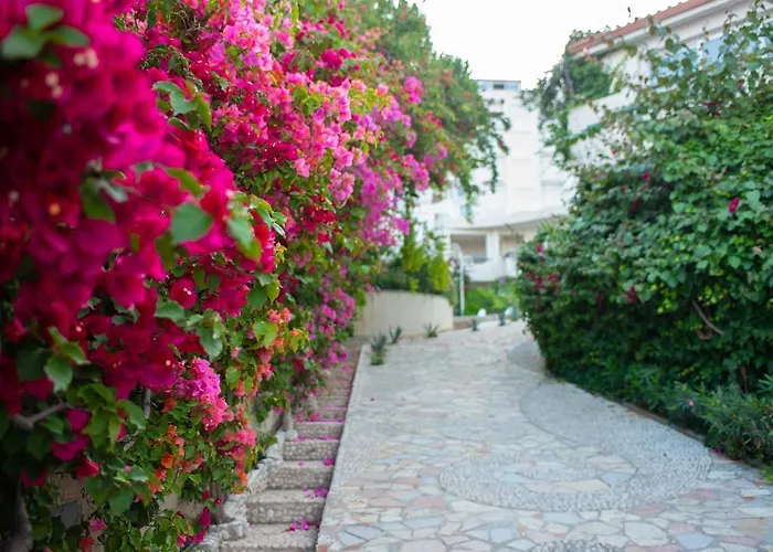 Bougainvill Sunset Sarandë
