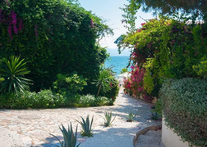 Bougainvill Sunset * Sarandë